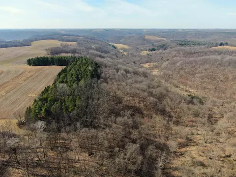 19913 Turkey Ln, Richland Center, WI 53581