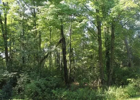 lot53 3rd Ave, Oxford, WI 53952