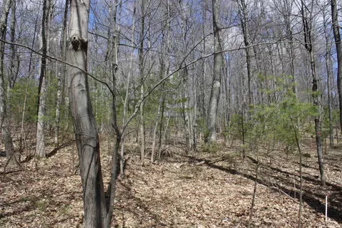 On Katie Circle, Minocqua, WI 54548