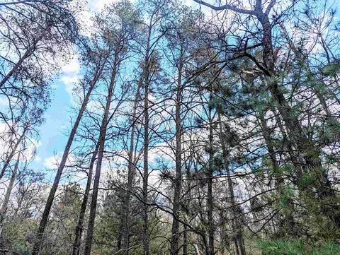 0 Fawn Ln, Grand Marsh, WI 53936