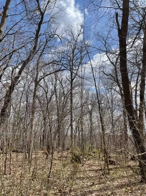 7 93 Acres Brown Rd, Elroy, WI 53929