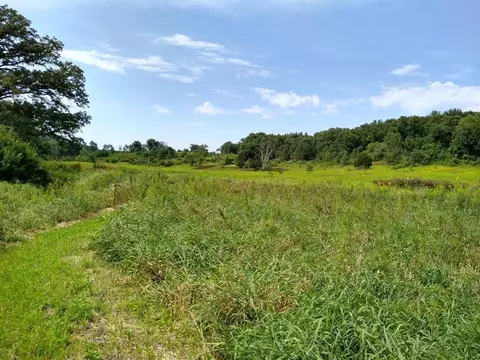 40 Acres Esch Rd, Dodgeville, WI 53533
