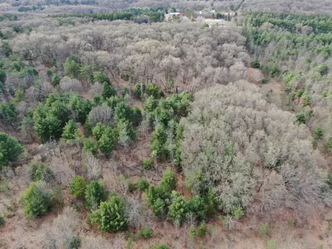 36 Ac County Road P, Wild Rose, WI 54984