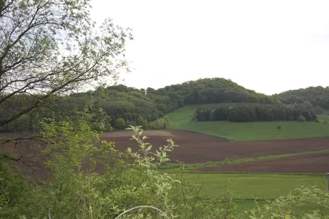 10 81ac Fiddlers Green Rd, Richland Center, WI 53581