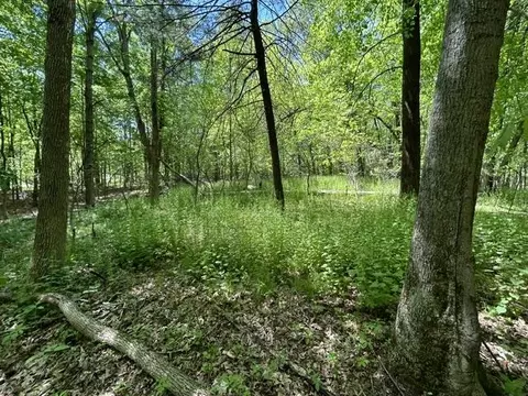 lot23 S Badger Ln, Arkdale, WI 54613