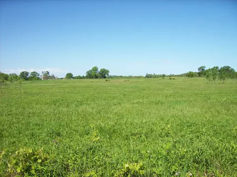lot11 Fandrich St, Oxford, WI 53952