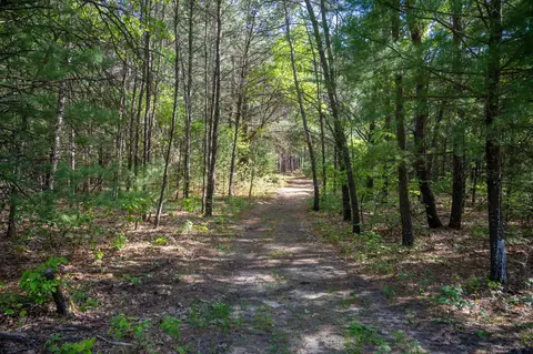 6 49 Acres County Road G, Necedah, WI 53464