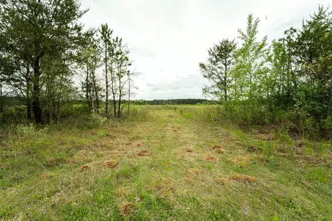 5 Acres Brown Deer Dr, Arkdale, WI 54613