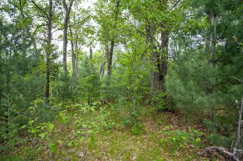 lot36 Fawn Ct, Grand Marsh, WI 53936
