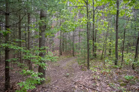 w2076 Lyndon Lane, Lyndon Station, WI 53944