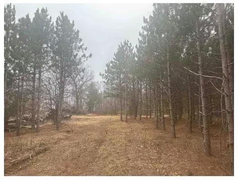 L22 Big Bay Road, Necedah, WI 54646