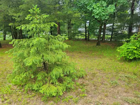 711 W 2nd St, Necedah, WI 54646