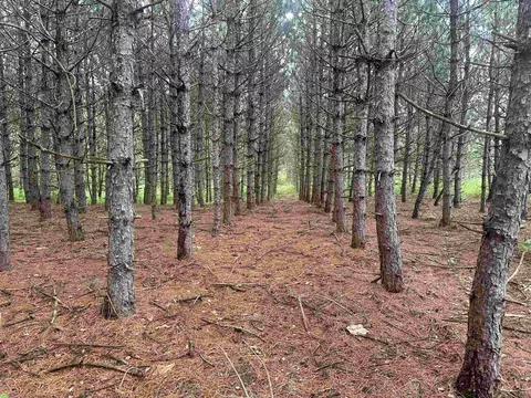 24 Acres Happersett Ln, Redgranite, WI 54970