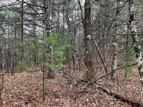 5 W 3acres W Trout Valley Rd, Hancock, WI 54943