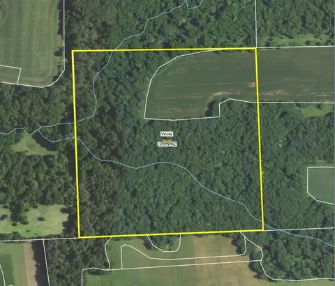 40 Acres Riverside Rd, Darlington, WI 53530