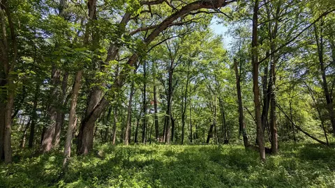 70 Oak Ridge Pass, Baraboo, WI 53913