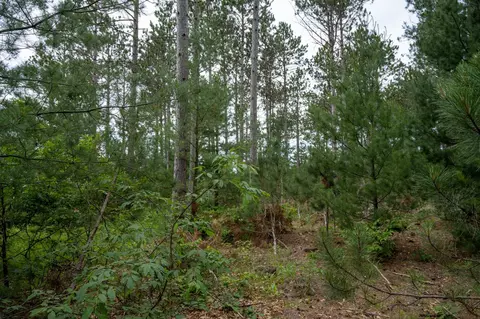lot1 Bollig Ct, Nekoosa, WI 54457