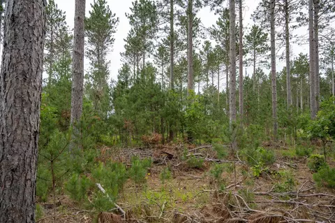 lot9 Bollig Ct, Nekoosa, WI 54457