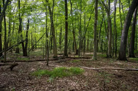 Lot 14 Oak Hill Estates, Mauston, WI 53948