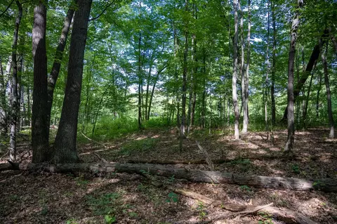 lot15 W Emerson Rd, Mauston, WI 53948