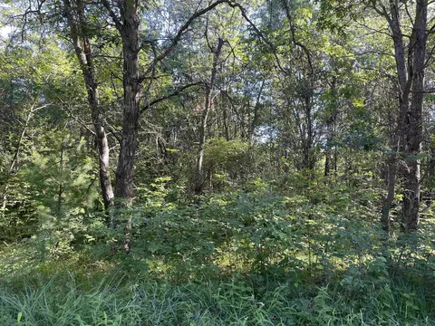 Parcel #1300440d Lynn Hill Road, Nekoosa, WI 54457