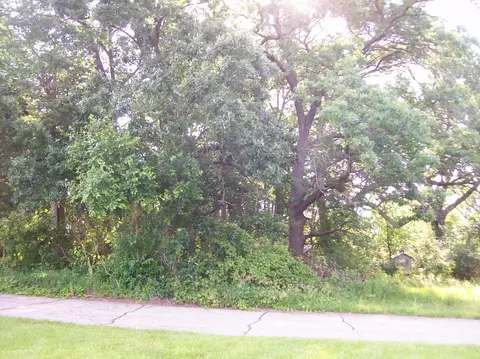 Corner Of South And Elm, Dalton, WI 53926
