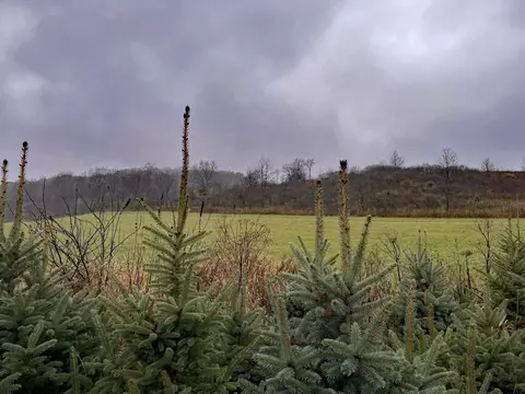 80 Acres Keller Rd, La Valle, WI 53941