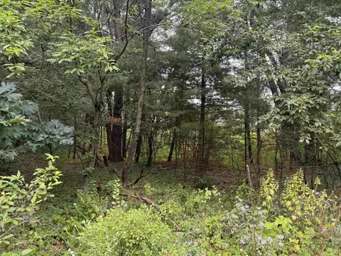 0 46 Ac Busse Ln, Lake Delton, WI 53940