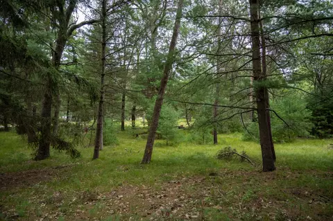 lot S 14-17 Wisconsin St, Friendship, WI 53934