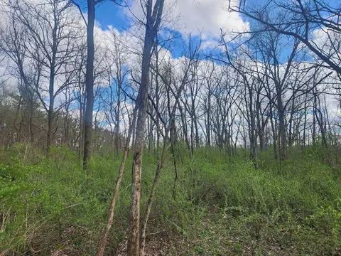lot1 Elizabeth St, Muscoda, WI 53573