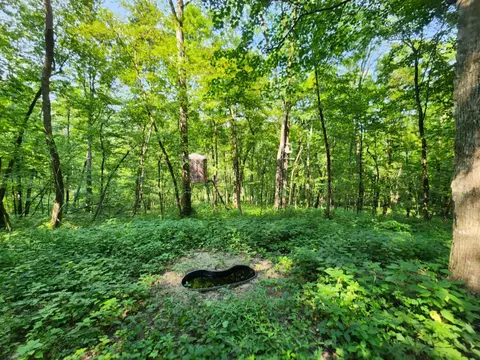 16 5 Acres - Gault Hollow Rd, Richland Center, WI 53581