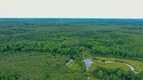 160 Ac Cedar Rd, Merrill, WI 54452