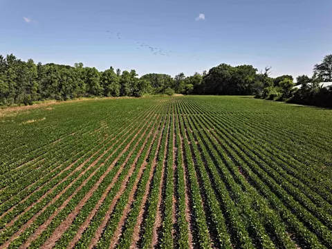 9 93 Ml Acres Highway 51, Stoughton, WI 53589