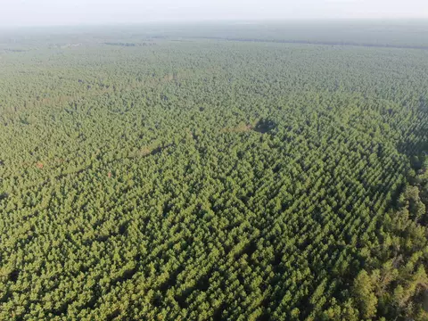 40 Ac Akron Dr, Nekoosa, WI 54457