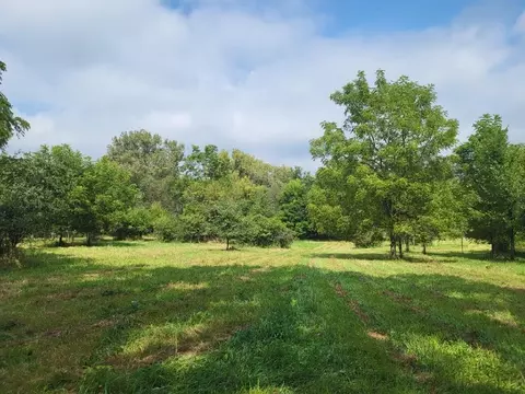 APT 010 05100201 Highway 67 19.22 Acres, Clinton, WI 53525