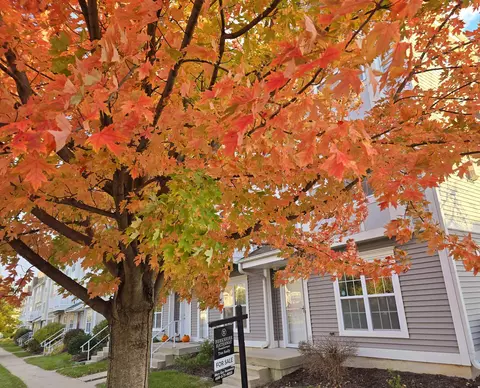 7137 Discovery Ln, Madison, WI 53719
