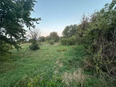 3 604 Acres Maiden Lane Rd, Reeseville, WI 53579