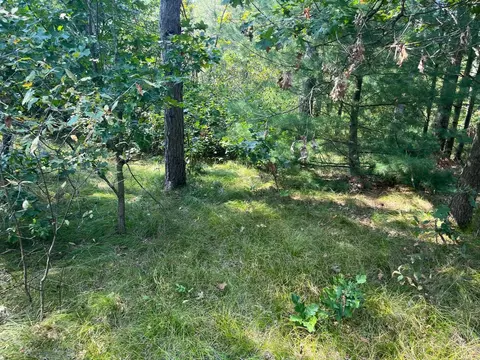 2943 10th Ave, Grand Marsh, WI 53936