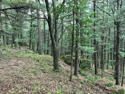 1140 Evergreen Dr, Grand Marsh, WI 53936