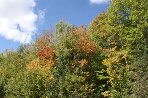 lot19 Many Rock Rd, Mercer, WI 54547