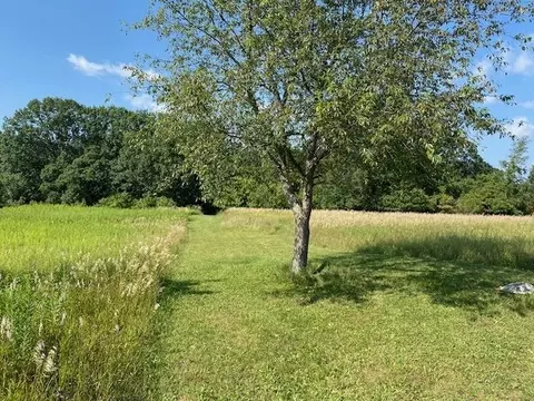 lot S 7-8-9 County Road G, Grand Marsh, WI 53936