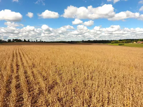 18 7- Acres Fleming Rd, Gays Mills, WI 54631