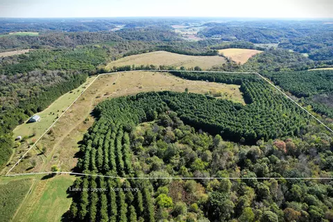40 Acres Lj Ln, Hillsboro, WI 54634