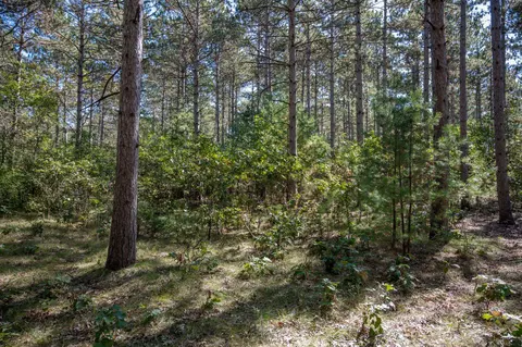 lot13 19th Blvd, Friendship, WI 53934