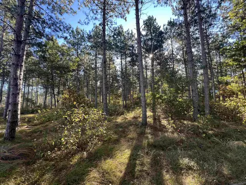 2 48 Acres 10th Ave, Nekoosa, WI 54457