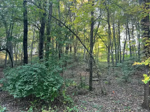 L99 Nevar Drive, Wisconsin Dells, WI 53965