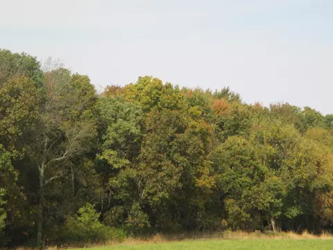 00 15th Rd, Montello, WI 53949