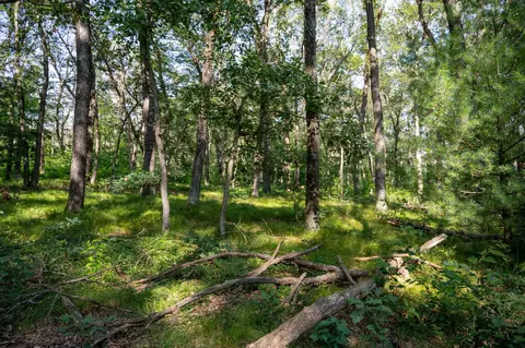 5 01 Acres Colleen Dr, Lyndon Station, WI 53944