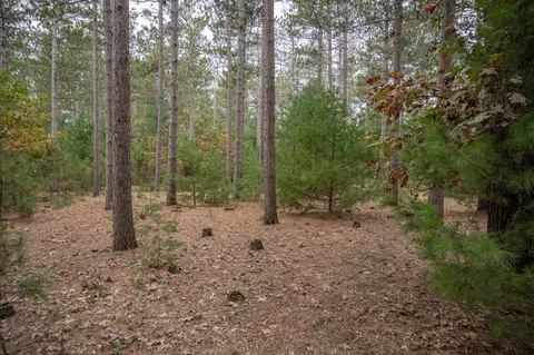 lot14 19th Blvd, Friendship, WI 53934