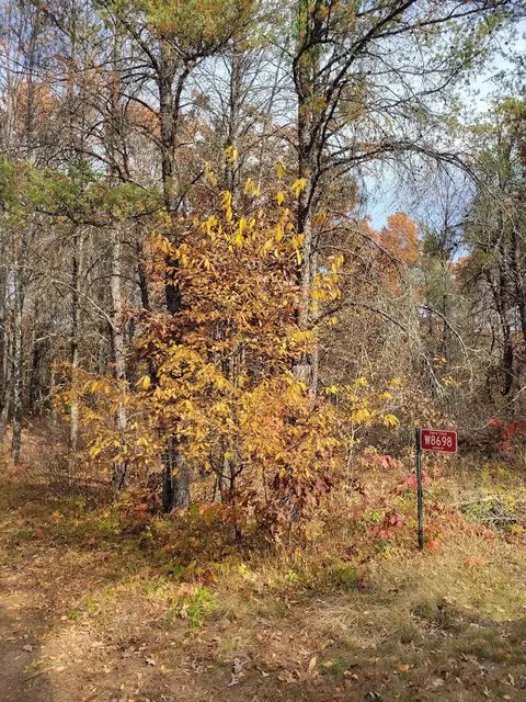 w8698 West Lupine Lane, Camp Douglas, WI 54618